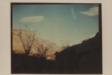 Downriver view from the bench on right bank above the mouth of Spring Canyon