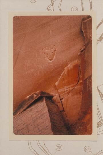 Goat head in bas relief at Mile 75.5, left bank