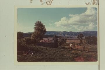 Parson's Cabin; Mile 268, left bank