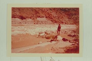 Small rapid at mouth of Wire Fence Canyon.  Mile 37.1; cruise of 1965, June 23-30