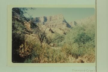 Travertine Spring about 3 miles from the river in Travertine Canyon