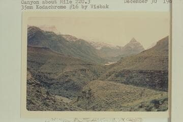 Down from near copper claim, upper side of Granite Springs (?) Canyon about Mile 220.3