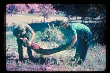 Ringing out sleeping bag; Rock Creek