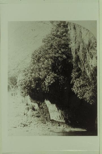 [print from half a stereo] The Bath.  A dripping spring in Kanab Canon.  Temperature 69 degrees Fahr.  Geo. M. Wheeler Expedition