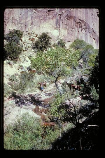 Lunch; Yellow Water fork of Black Water Creek