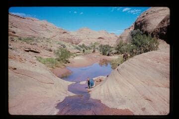 Bill Belknap at Moepitz Creek