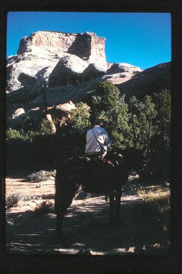Upper basin; Surprise Valley