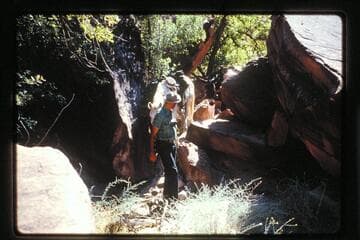 Lex Lindsay down trail; Black Water Creek