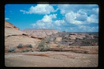 From Bald Heads; Old W[etherill?] Trail