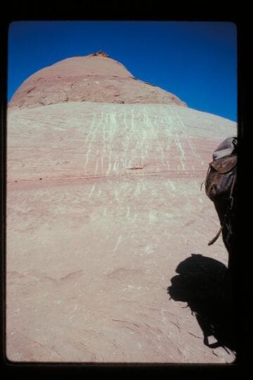 Tracks of stock off ledge and into basin north of Sid Whiskers Butte