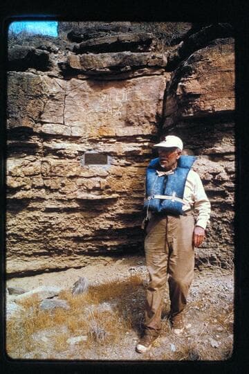 Dock leaves Willie's grave