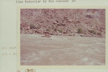 Catamaran of the Harris-Brennan fleet.  About Mile 202 and 200.5