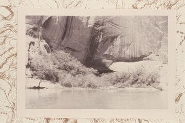 The Heron Colony, right bank just below The Chapel