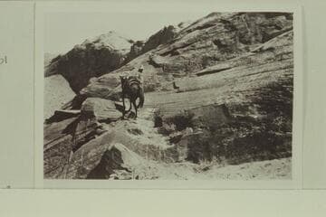 Blacks Trail and steps out of the canyon of the Escalante River.  Jess Barker is leading a horse up the trail