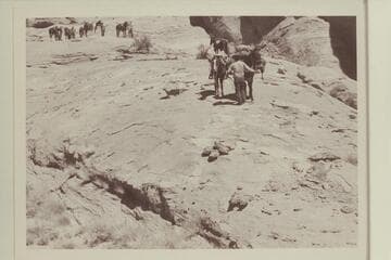Leading the stock down the slick rock into head of the northeast fork of 73.6
