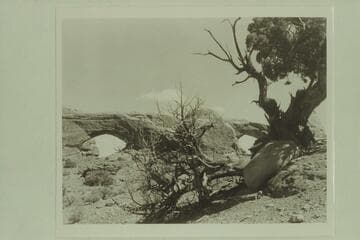 The Eyeglasses, Arches National Monument