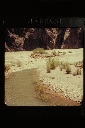 Mouth of Bright Angel Creek