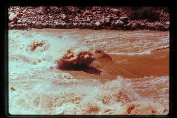 Wave at head of Vulcan Rapids