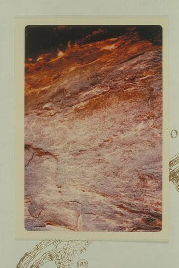 1836 D Julien inscription at Mile 185-186 in Cataract Canyon