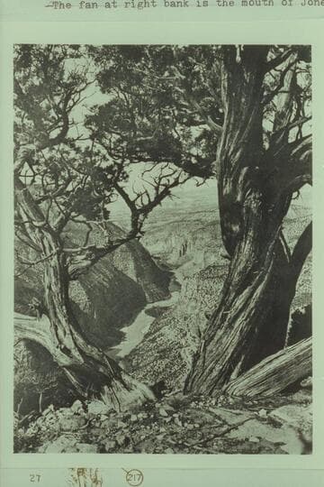 Down Whirlpool Canyon from Harper's Corner