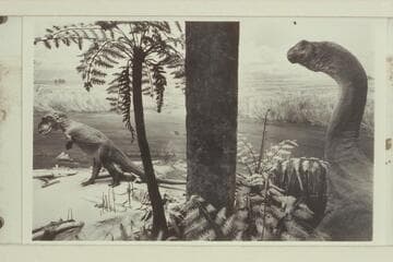 Diorama at Quarry Visitor Center; Dinosaur National Monument