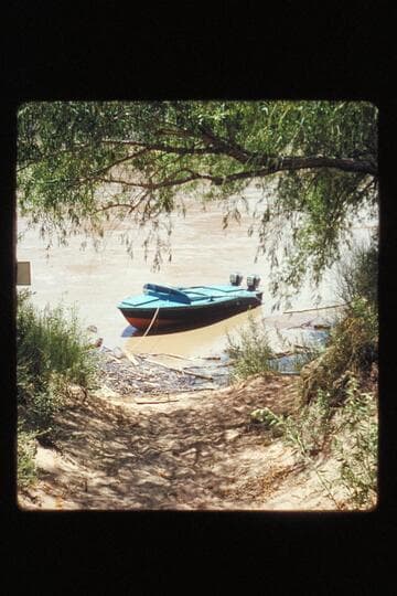 "Cactus" in river at Lees Ferry