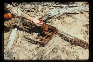 Remains caught in drift wood pile, 69.7 left bank