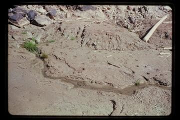 Spring above head of rapid no. 3, Mile 211.75