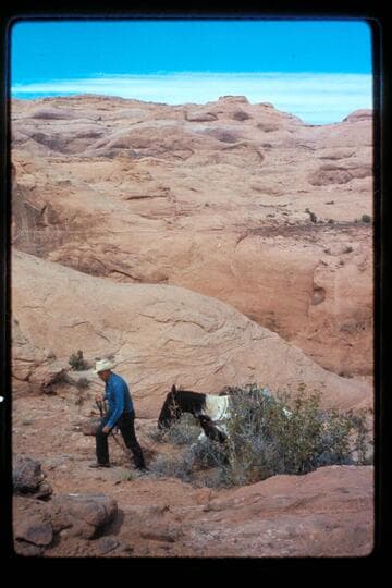 Leading out of Nasja Creek