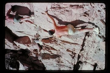 Buzz and Bill Belknap at Kolb inscription