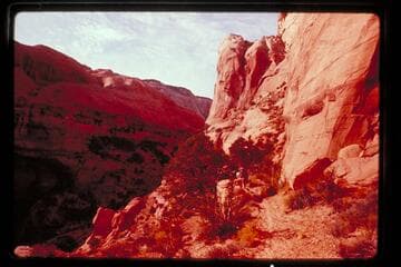 Trail out of Surprise Valley toward right bank