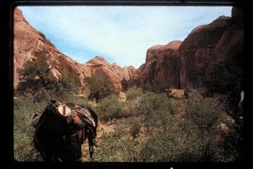Looking back along trail out of Nasja Creek