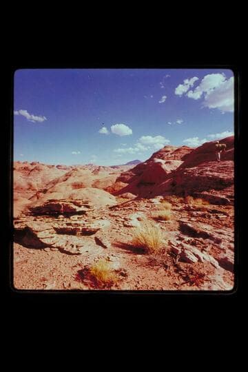 Dock and pack on trail out of Anasazi Canyon
