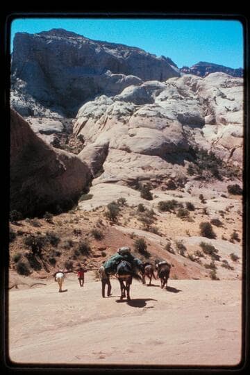 Down into head of northeast fork of 73