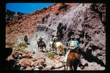 Riding up road in Miller's Canyon, tributary to Halls Creek