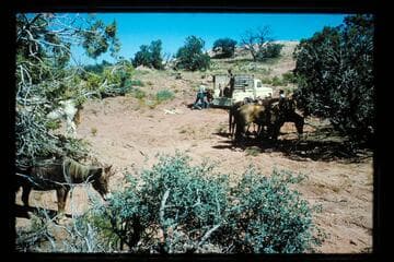 Meet with truck 5 miles from Horsethief Tanks