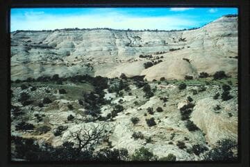 Horseshoe Canyon