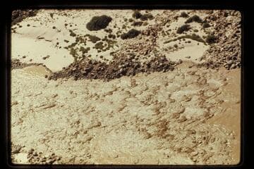 Badger Rapid, prel. 7280 cfs