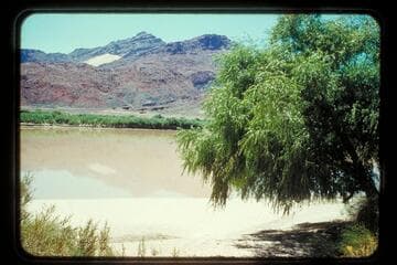 Beach opposite fort; Lees Ferry, prel. gauge 5850 cfs
