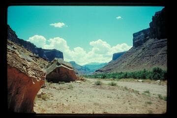 Camp site below George White's ranch