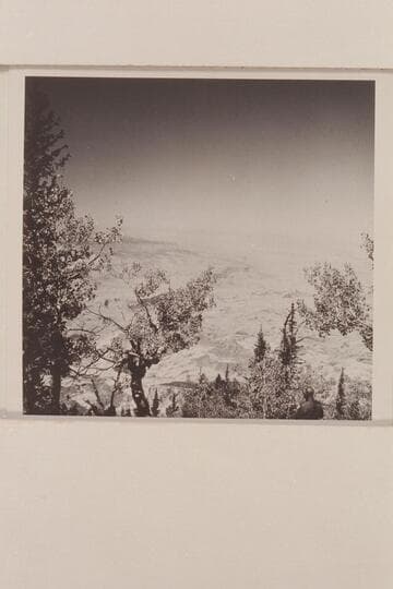 Fifty Mile Mountain at upper left.  Glen CAnyon crosses thru lower center.  From the lookoout point on top of Navajo Mountain