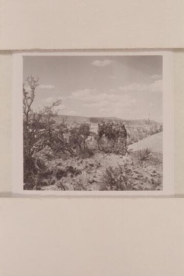 50 Mile Mountain and 60 Mile Point from base camp at foot of black brush mesa