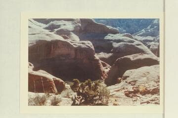 Up into Surprise Valley from trail into northeast fork of 73