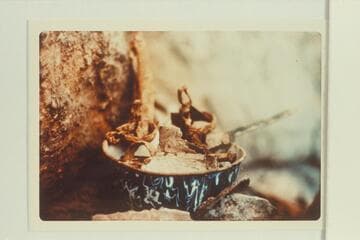 Remnant of the prospecting and trapping gear left in Barry Cave, Mile 25.5, right bank in Marble Canyon