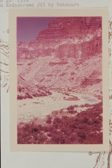 Little Colorado River from Salt Spring