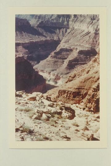 Vaseys Paradise from rim above Paradise Canyon