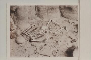 The skeleton at Paradise Canyon.  Marble Canyon