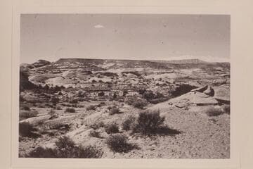 Westward a fork [sic] of Bald Rock Creek from trail out of Bald Rock Canyon to Surprise Valley and below the Rainbow Bridge Trail.  Upper right is 50 Mile Mountain