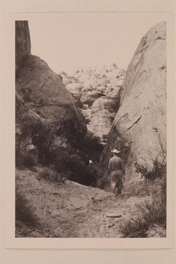 Fault leading into Nasja Creek.  Eisaman walks down the trail