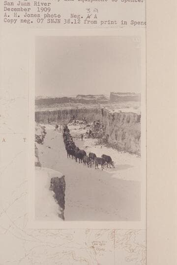 Ox teams of Charles Spencer in wash near Kayenta hauling machinery and equipment to Spencer camp on the San Juan River